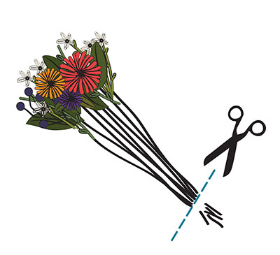 Flower care guide