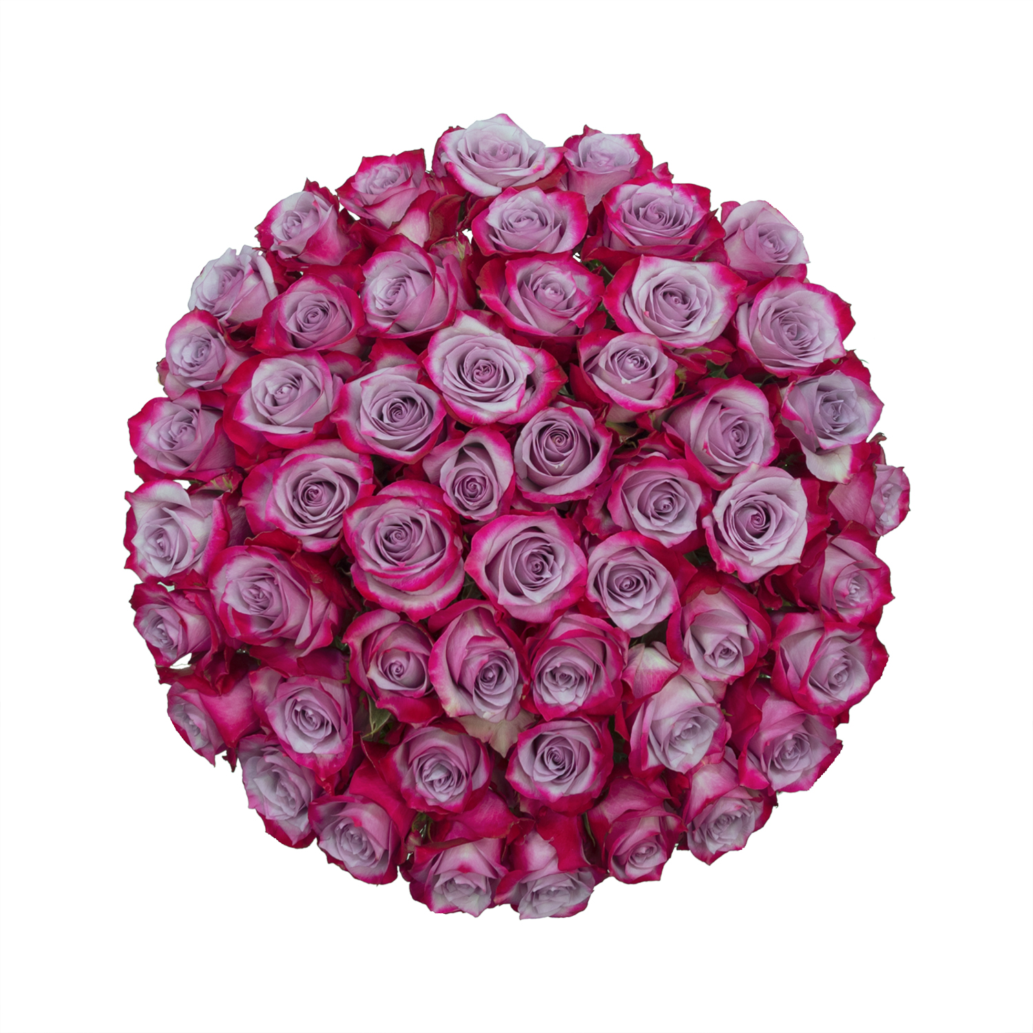 premium wedding roses