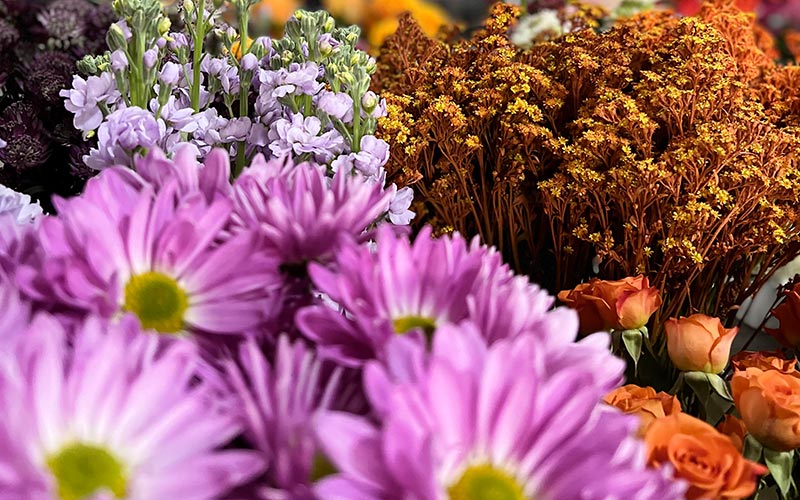 flowers