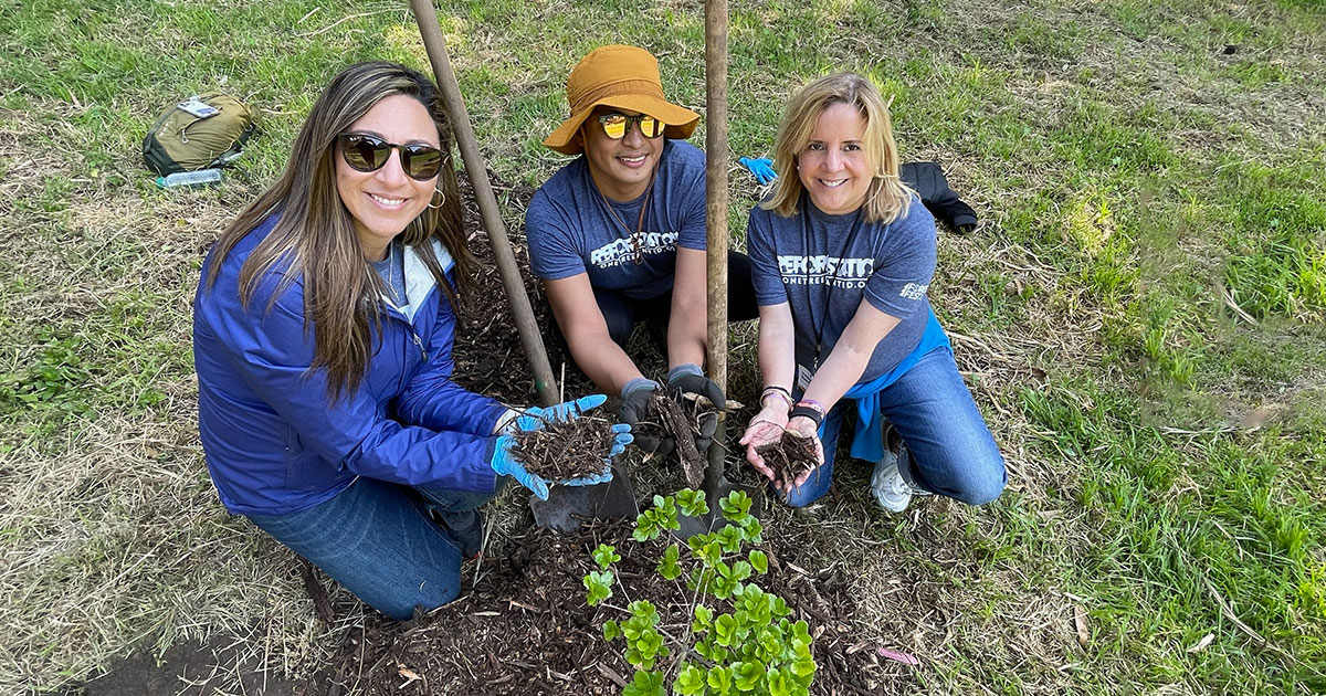 ForestFest With One Tree Planted