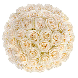 White Roses