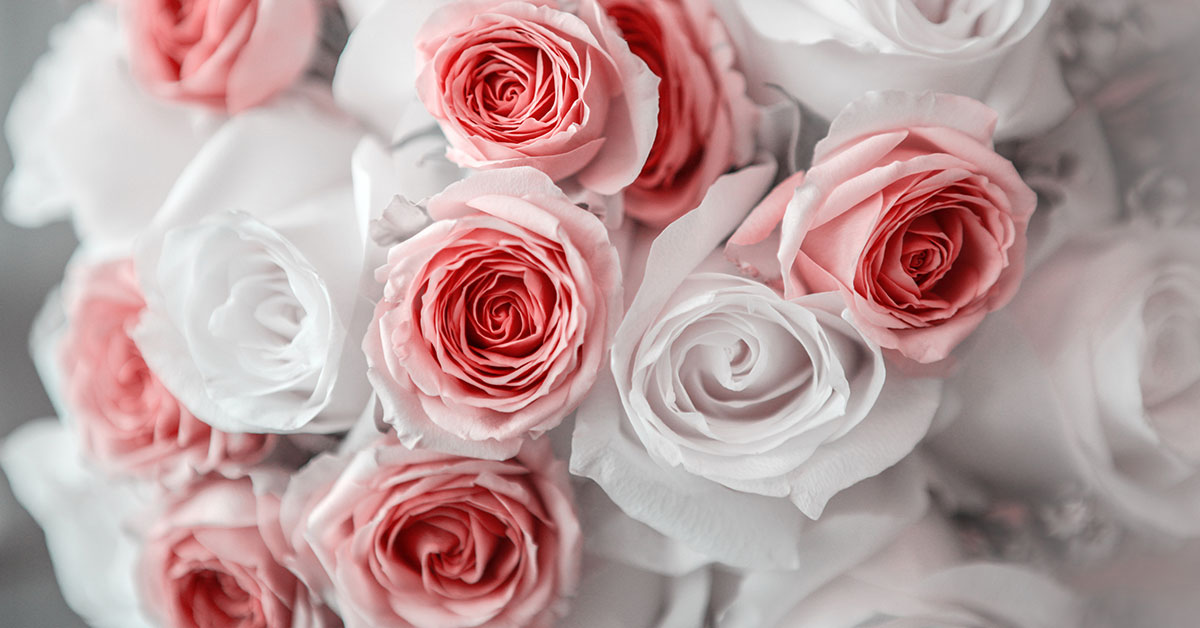 wedding flowers roses