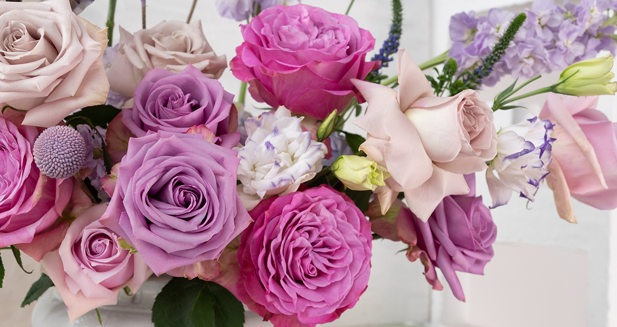 purple flowers for Women's Day