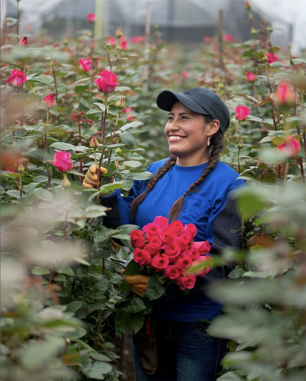 Colour Republic flower farm and farmer
